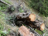 2025-07-27 M. Pelago e Lacs Bessons 023